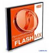     Flash MX 