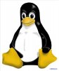   Linux ( /2007) 